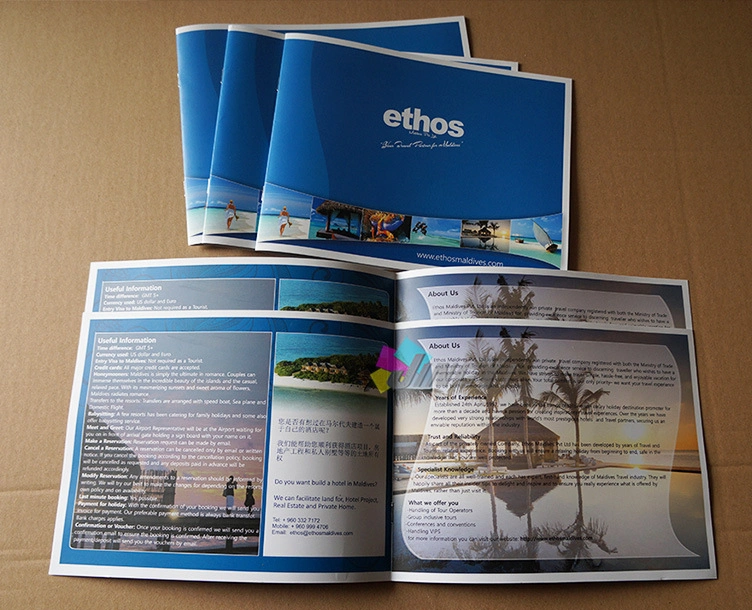 Custom Design Printing 3 Panel Folded Booklet/catalog/Brochure