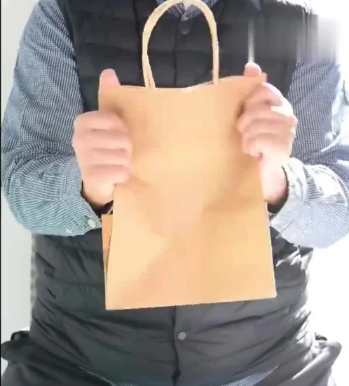 Gran oferta, bolsa de papel Kraft reciclada para compras de ropa Kraft con asa marrón impresa personalizada con asas retorcidas