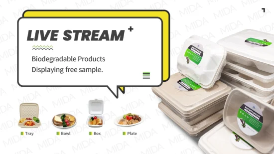 Fiambrera de papel desechable, bagazo de caña de azúcar biodegradable, cajas para llevar hamburguesas